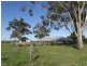 440 Tatham Road, Tatham NSW 2471