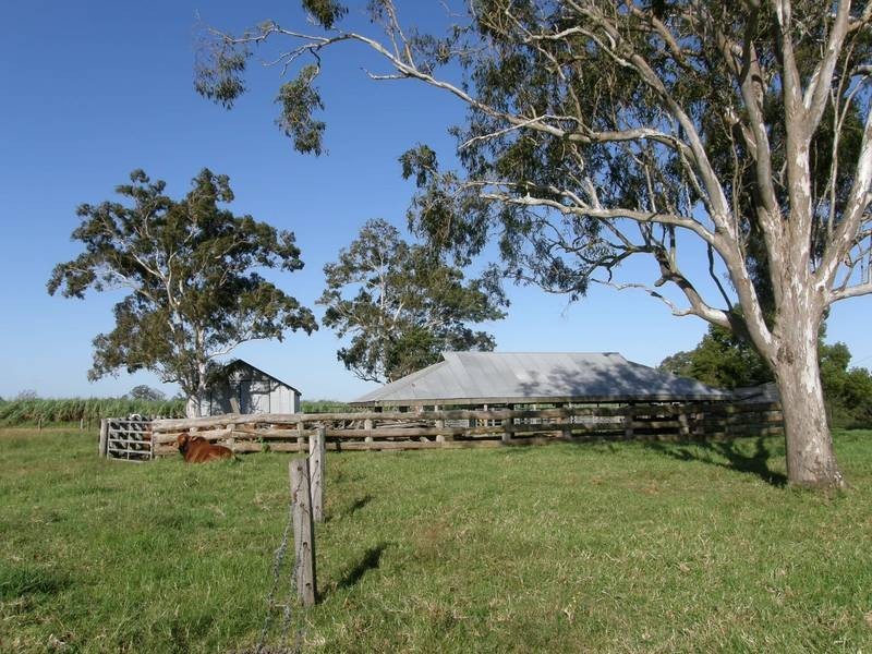 440 Tatham Road, Tatham NSW 2471