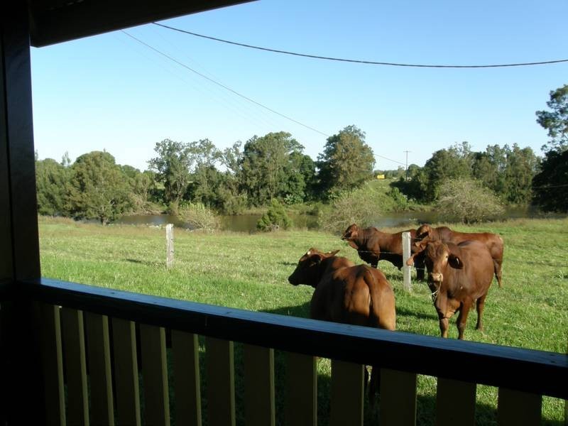 440 Tatham Road, Tatham NSW 2471