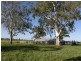 440 Tatham Road, Tatham NSW 2471