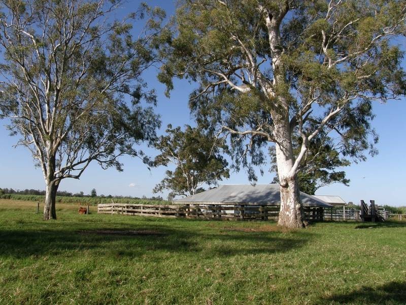 440 Tatham Road, Tatham NSW 2471