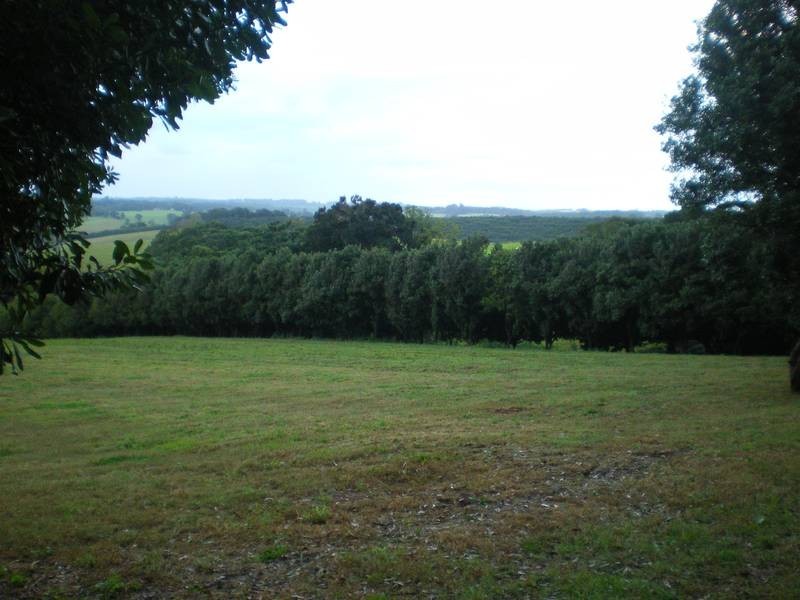 Lot 2 74-76 James Gibson Road, Clunes NSW 2480