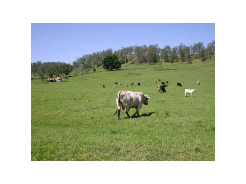 Lot 340,  Bonners Lane, Casino NSW 2470