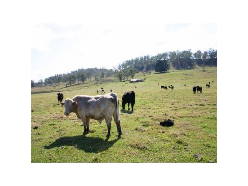 Lot 340,  Bonners Lane, Casino NSW 2470