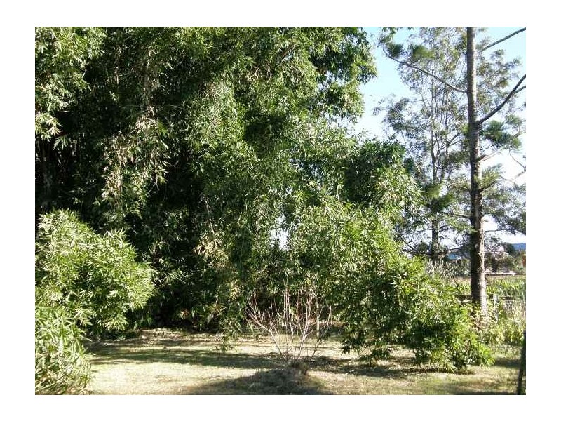 158 Casino Street, South Lismore NSW 2480