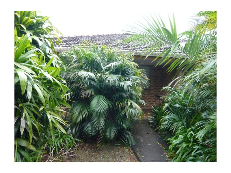 4/125 Rous Road, Goonellabah NSW 2480