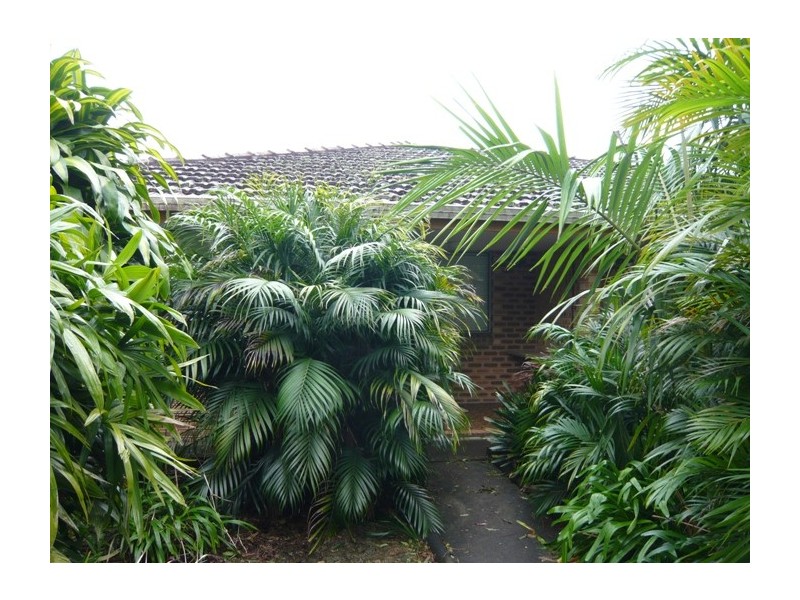 3/125 Rous Road, Goonellabah NSW 2480