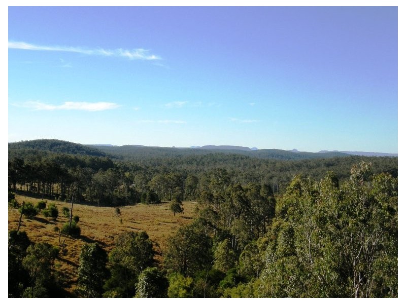 Lot 100 Long Gully Road, Drake NSW 2469