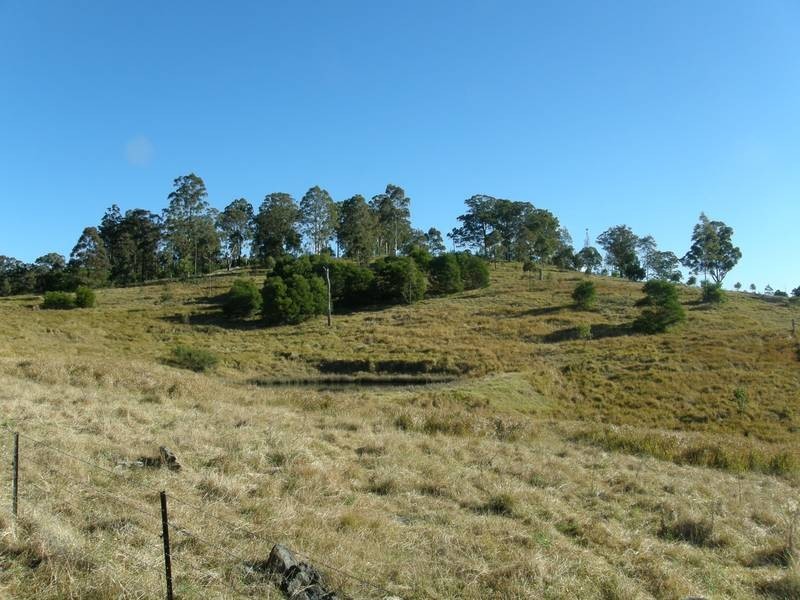 Lot 100 Long Gully Road, Drake NSW 2469