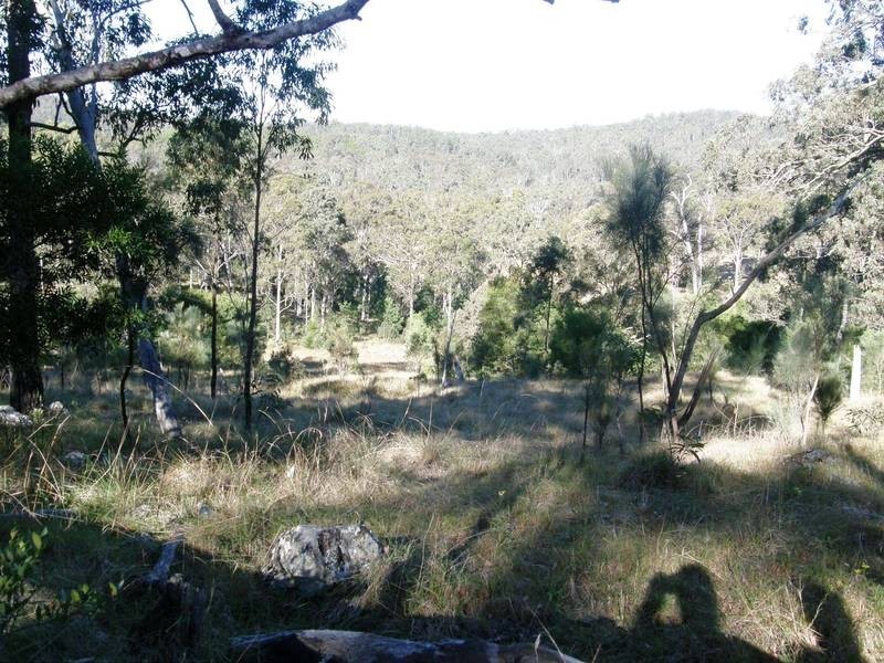 Lot 100 Long Gully Road, Drake NSW 2469