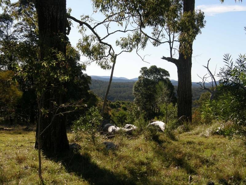 Lot 100 Long Gully Road, Drake NSW 2469