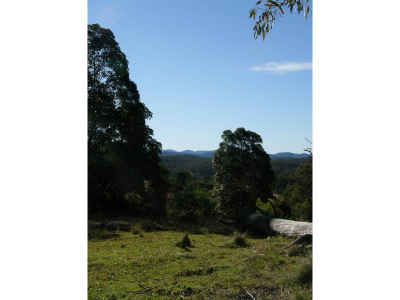 Lot 100 Long Gully Road, Drake NSW 2469