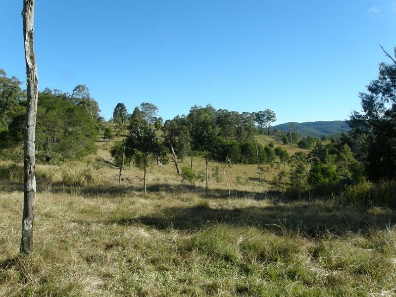 Lot 100 Long Gully Road, Drake NSW 2469