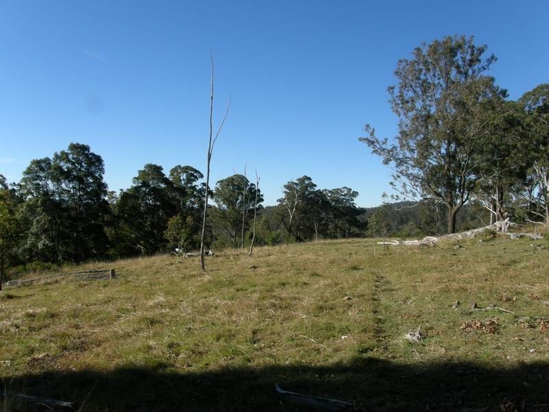 Lot 100 Long Gully Road, Drake NSW 2469