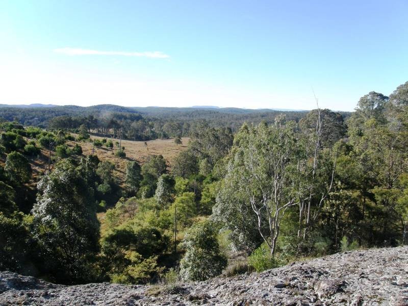 Lot 100 Long Gully Road, Drake NSW 2469