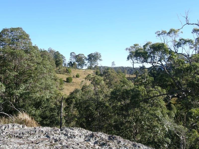 Lot 100 Long Gully Road, Drake NSW 2469