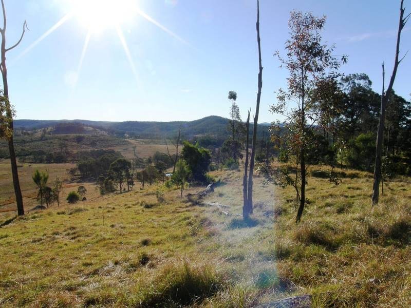 Lot 100 Long Gully Road, Drake NSW 2469