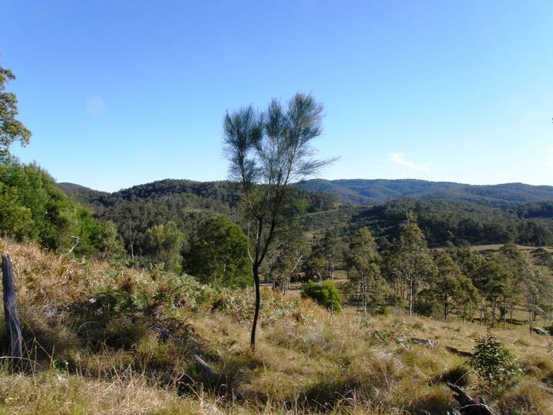 Lot 100 Long Gully Road, Drake NSW 2469