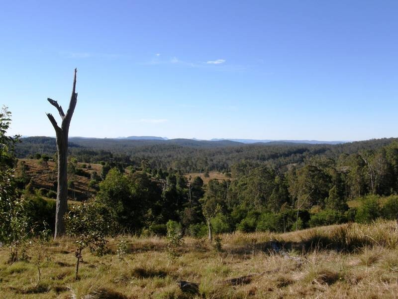 Lot 100 Long Gully Road, Drake NSW 2469