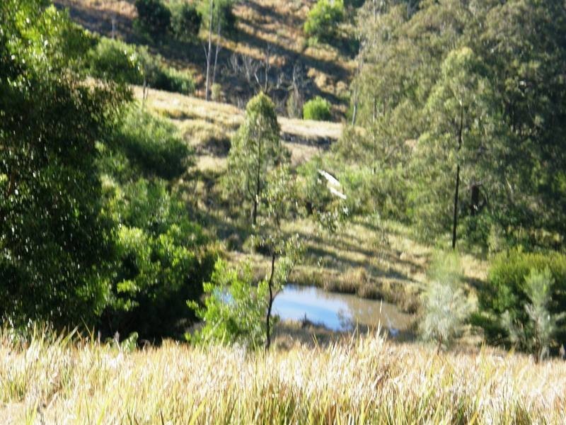 Lot 100 Long Gully Road, Drake NSW 2469