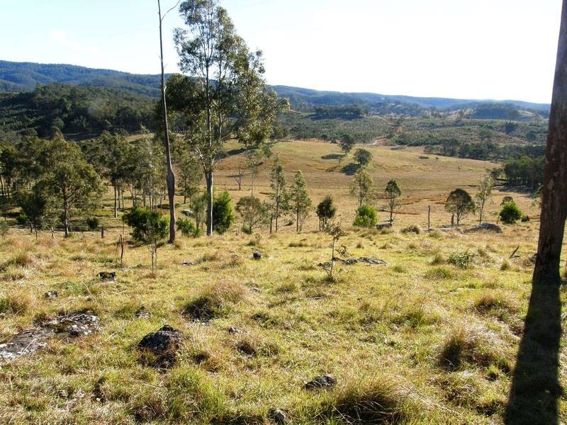 Lot 100 Long Gully Road, Drake NSW 2469