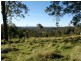 Lot 100 Long Gully Road, Drake NSW 2469