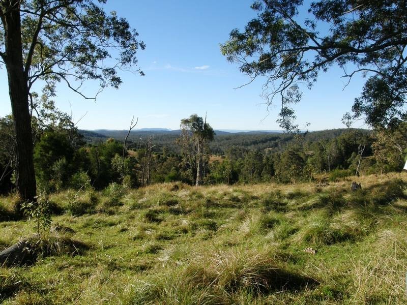 Lot 100 Long Gully Road, Drake NSW 2469