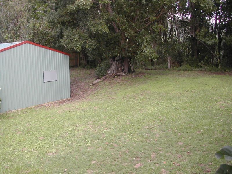 77 Basil Road, Nimbin NSW 2480