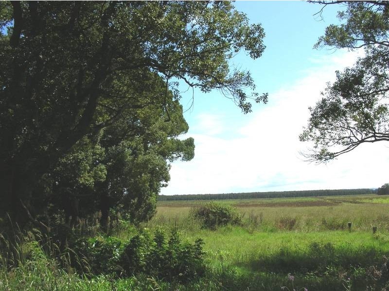 524 Forest Road, Woodburn NSW 2472