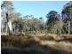 Lot 105 Long Gully Road, Drake NSW 2469