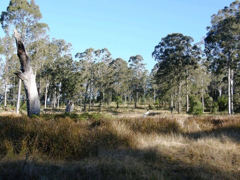 Lot 105 Long Gully Road, Drake NSW 2469
