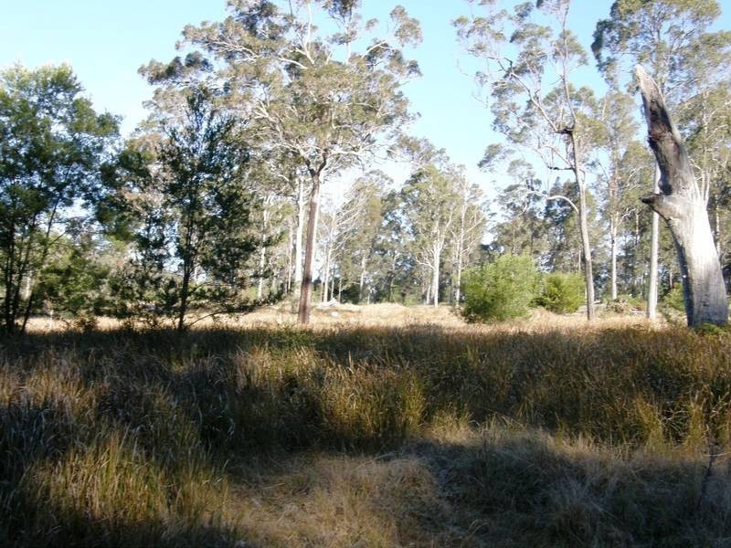 Lot 105 Long Gully Road, Drake NSW 2469
