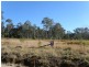 Lot 105 Long Gully Road, Drake NSW 2469