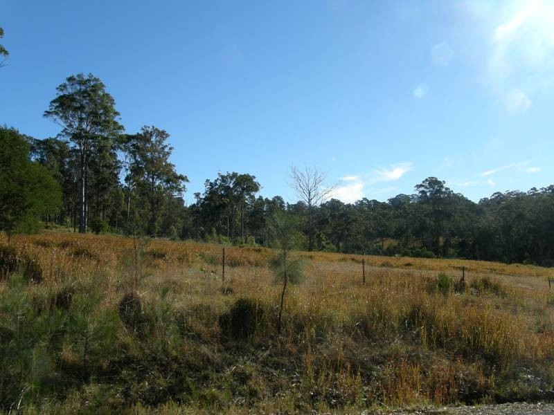 Lot 105 Long Gully Road, Drake NSW 2469