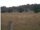 397 Jiggi Road, Goolmangar NSW 2480