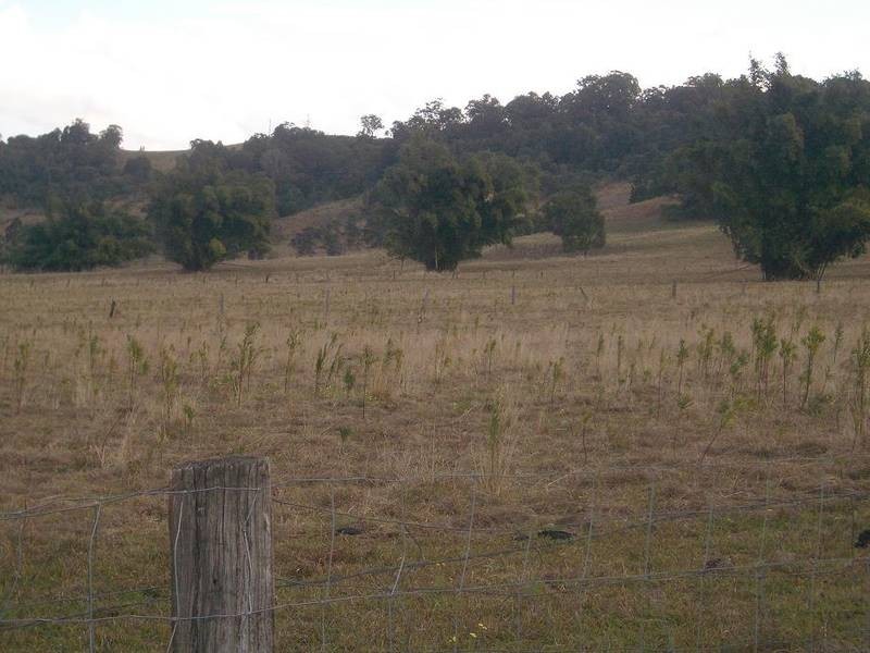 397 Jiggi Road, Goolmangar NSW 2480