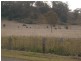 397 Jiggi Road, Goolmangar NSW 2480