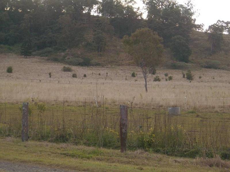 397 Jiggi Road, Goolmangar NSW 2480