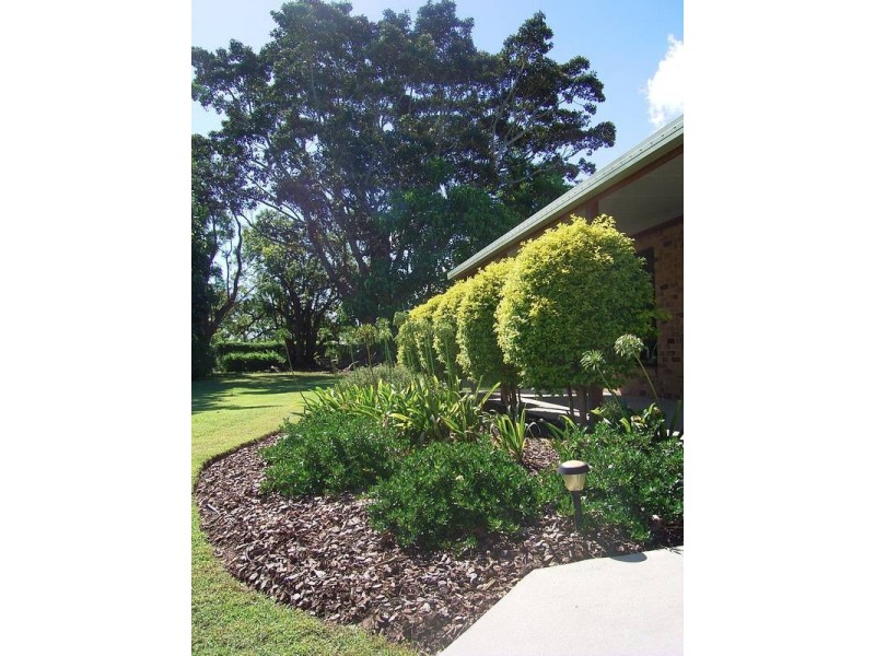 9 Forest Grove Road, Fairy Hill NSW 2470