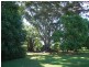 9 Forest Grove Road, Fairy Hill NSW 2470