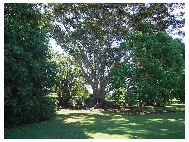 9 Forest Grove Road, Fairy Hill NSW 2470
