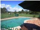 9 Forest Grove Road, Fairy Hill NSW 2470