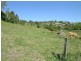 Lot 45, 10 Opal Crescent, Lismore Heights NSW 2480
