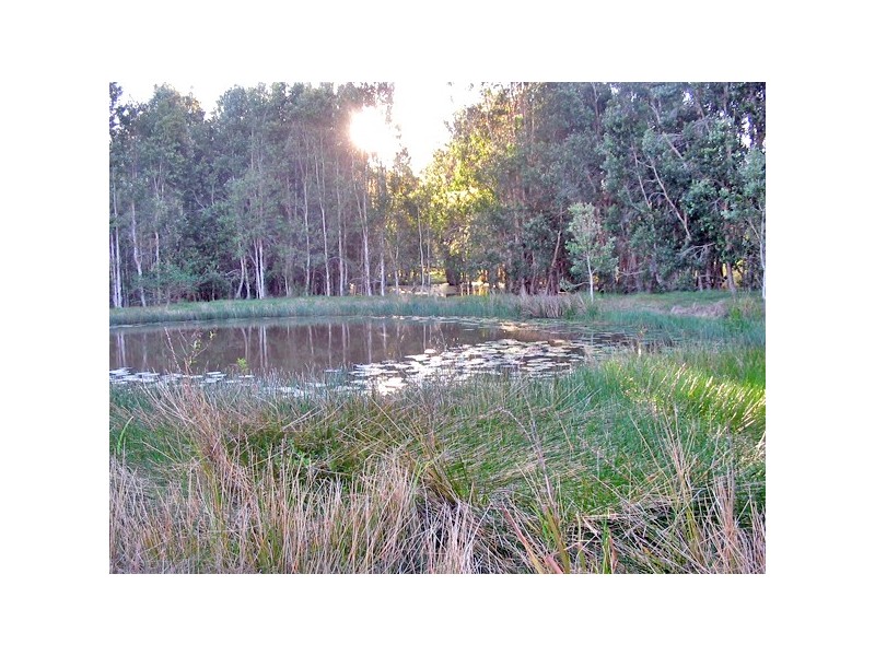 33 Jersey Drive, North Casino NSW 2470