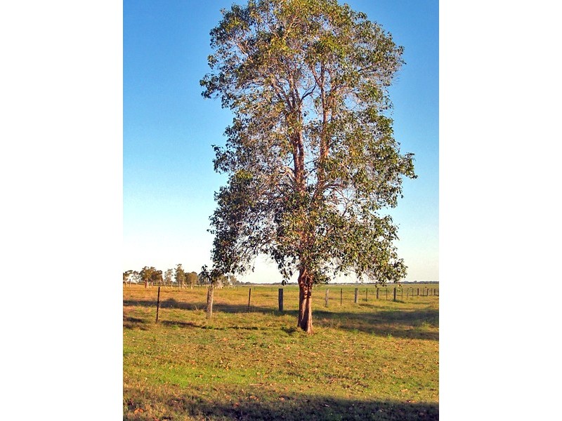 33 Jersey Drive, North Casino NSW 2470