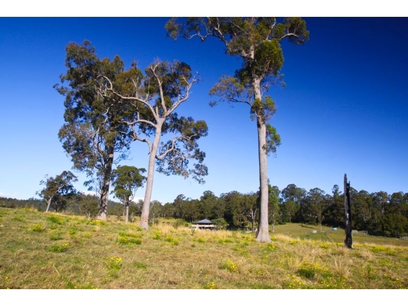 22 Stones Road, Naughtons Gap NSW 2470
