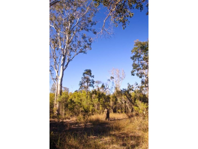 1095 Myall Creek Road, Bora Ridge NSW 2471