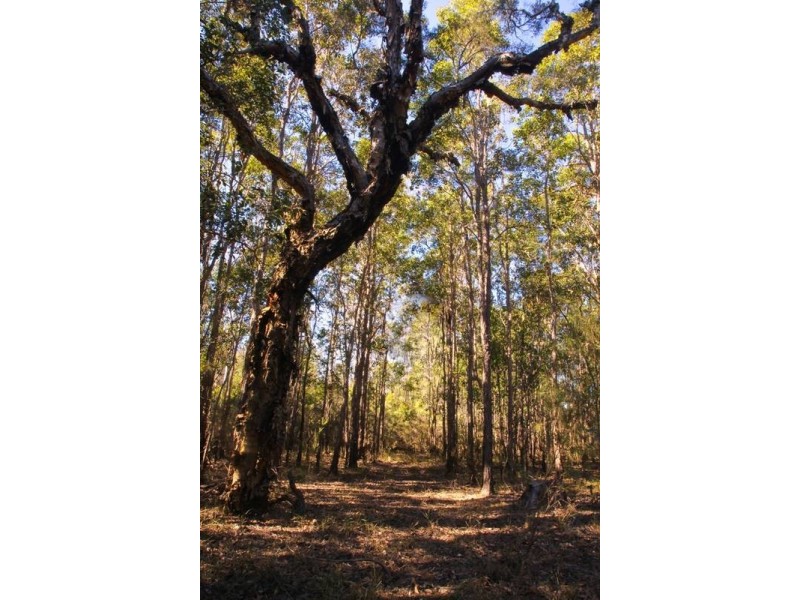 1095 Myall Creek Road, Bora Ridge NSW 2471