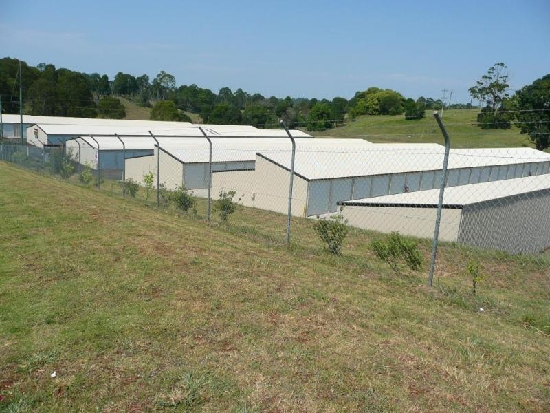 4 Holland Street, Goonellabah NSW 2480