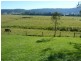 426 Spring Grove Road, Spring Grove NSW 2470